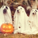 Halloween Party auf der Longhorn Ranch